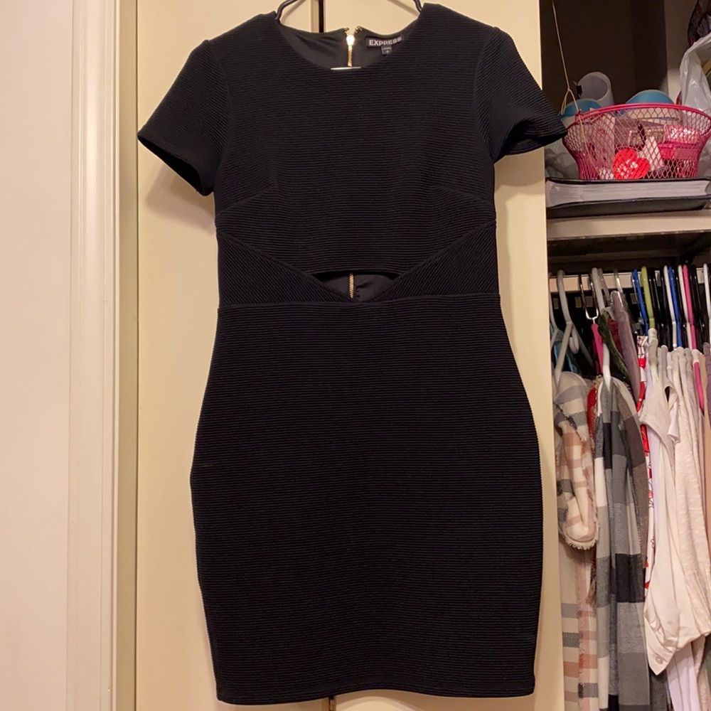 Black zip up express dress